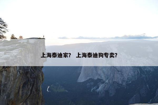 上海泰迪家？ 上海泰迪狗专卖？