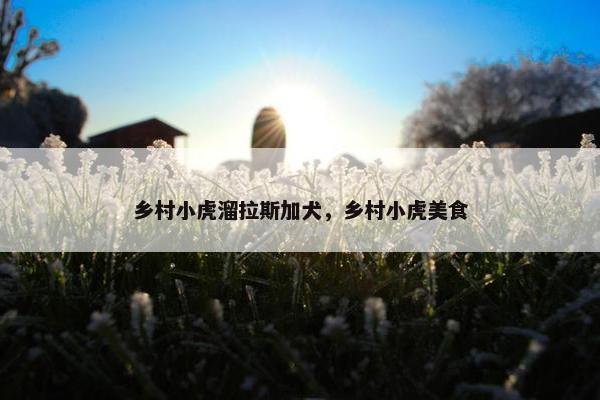 乡村小虎溜拉斯加犬，乡村小虎美食
