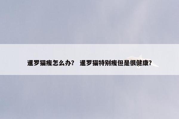 暹罗猫瘦怎么办？ 暹罗猫特别瘦但是很健康？