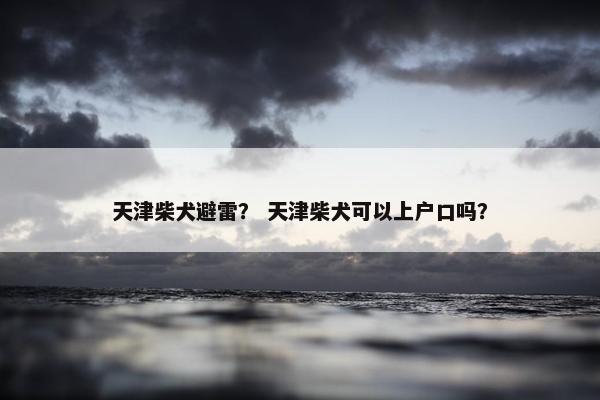 天津柴犬避雷？ 天津柴犬可以上户口吗？