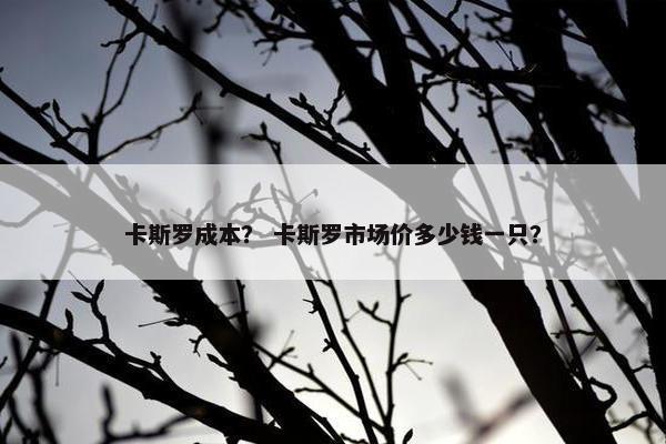 卡斯罗成本？ 卡斯罗市场价多少钱一只？