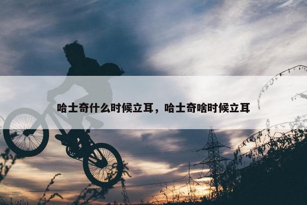 哈士奇什么时候立耳，哈士奇啥时候立耳