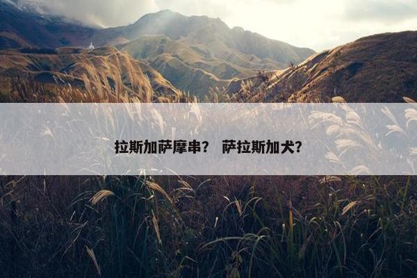 拉斯加萨摩串？ 萨拉斯加犬？