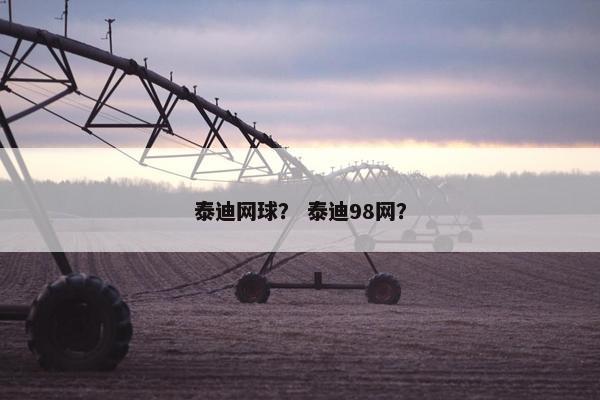 泰迪网球？ 泰迪98网？