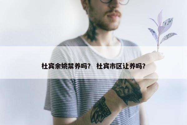 杜宾余姚禁养吗？ 杜宾市区让养吗？
