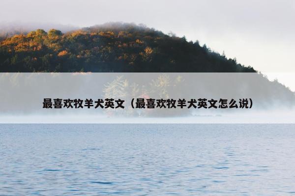 最喜欢牧羊犬英文（最喜欢牧羊犬英文怎么说）