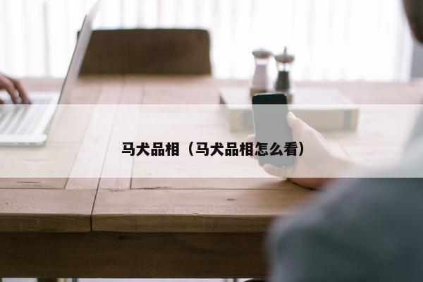 马犬品相（马犬品相怎么看）