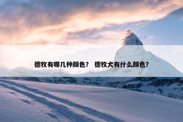 德牧有哪几种颜色？ 德牧犬有什么颜色？