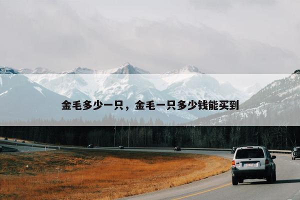 金毛多少一只，金毛一只多少钱能买到