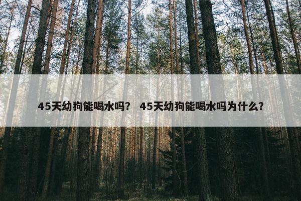 45天幼狗能喝水吗？ 45天幼狗能喝水吗为什么？
