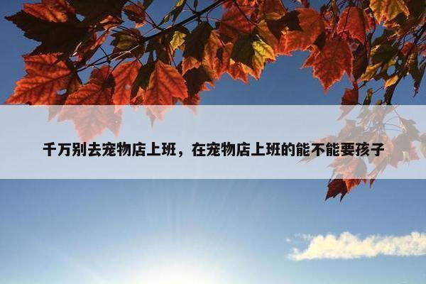 千万别去宠物店上班，在宠物店上班的能不能要孩子