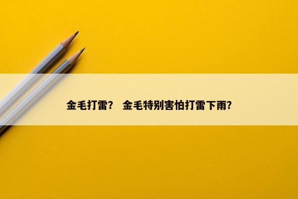 金毛打雷？ 金毛特别害怕打雷下雨？