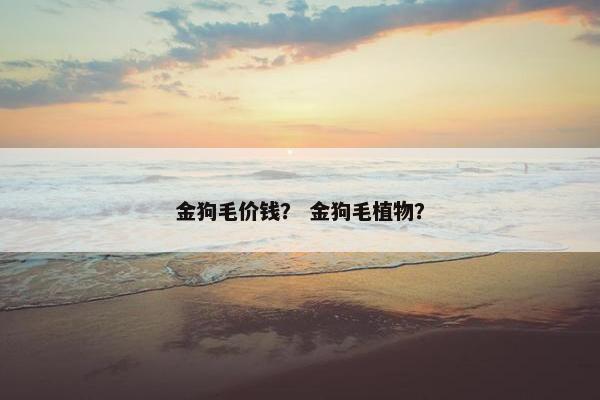 金狗毛价钱？ 金狗毛植物？