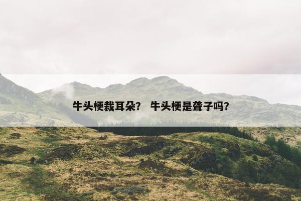 牛头梗裁耳朵？ 牛头梗是聋子吗？