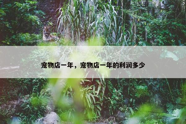 宠物店一年，宠物店一年的利润多少