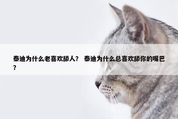 泰迪为什么老喜欢舔人？ 泰迪为什么总喜欢舔你的嘴巴？