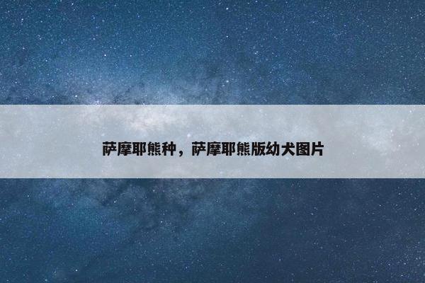萨摩耶熊种，萨摩耶熊版幼犬图片