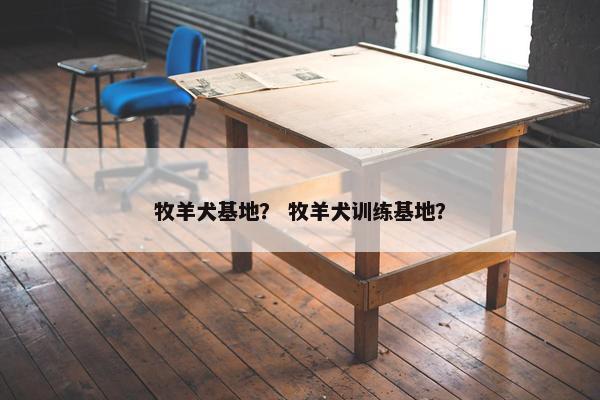 牧羊犬基地？ 牧羊犬训练基地？