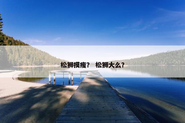 松狮摸瘦？ 松狮大么？