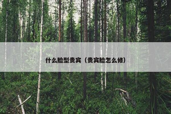 什么脸型贵宾（贵宾脸怎么修）
