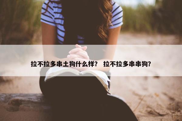 拉不拉多串土狗什么样？ 拉不拉多串串狗？