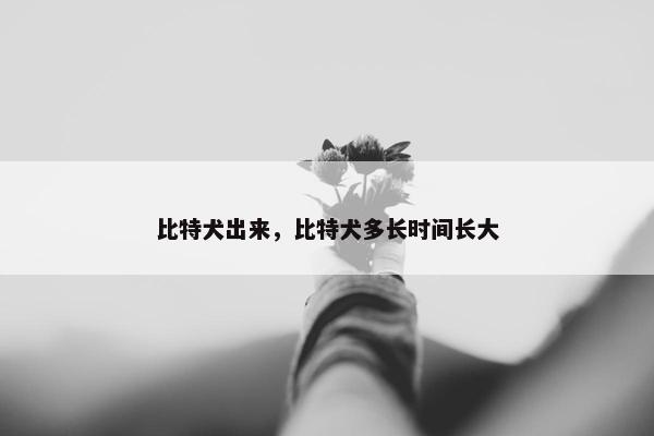 比特犬出来，比特犬多长时间长大