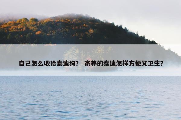自己怎么收拾泰迪狗？ 家养的泰迪怎样方便又卫生？