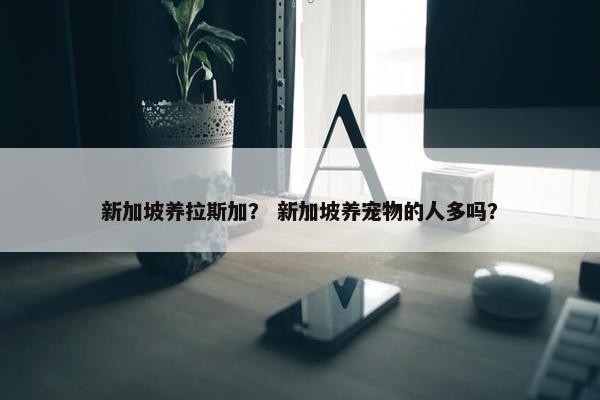 新加坡养拉斯加? 新加坡养宠物的人多吗?