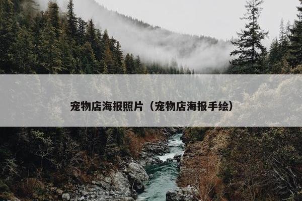 宠物店海报照片（宠物店海报手绘）