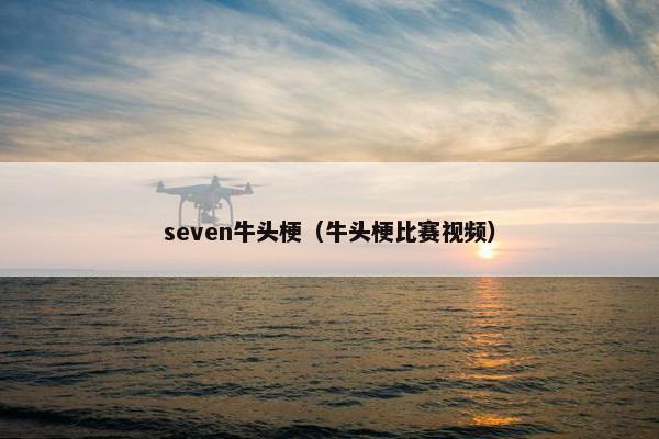 seven牛头梗（牛头梗比赛视频）