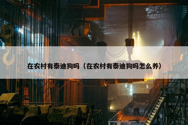 在农村有泰迪狗吗（在农村有泰迪狗吗怎么养）