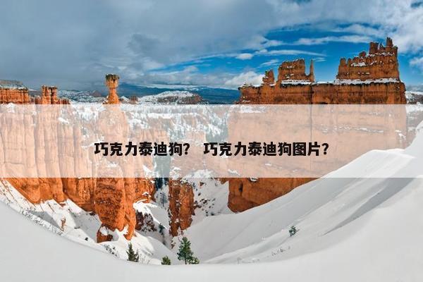 巧克力泰迪狗？ 巧克力泰迪狗图片？