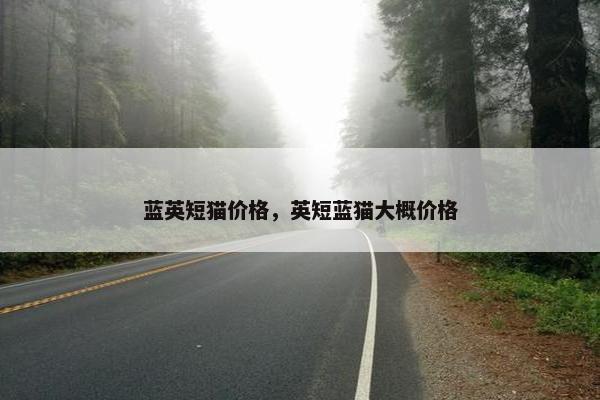 蓝英短猫价格，英短蓝猫大概价格