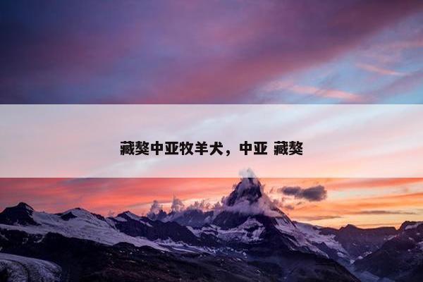 藏獒中亚牧羊犬，中亚 藏獒
