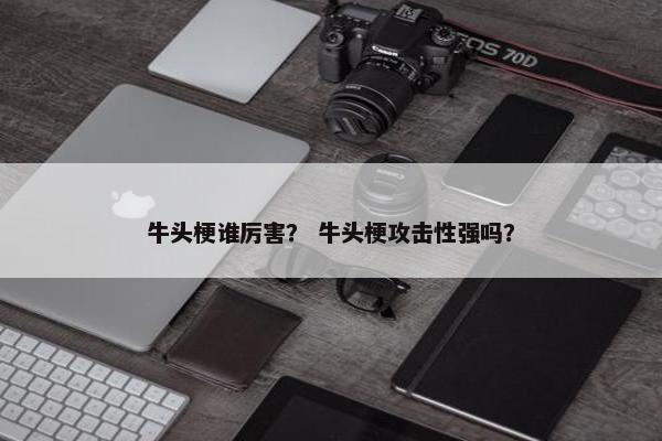 牛头梗谁厉害？ 牛头梗攻击性强吗？