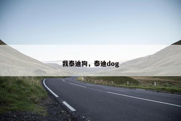 我泰迪狗，泰迪dog