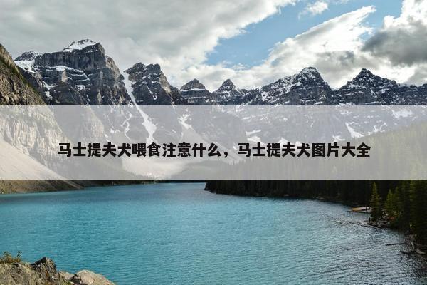 马士提夫犬喂食注意什么，马士提夫犬图片大全