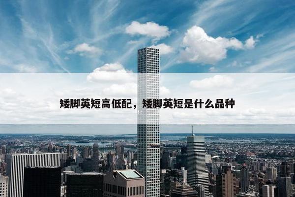 矮脚英短高低配，矮脚英短是什么品种