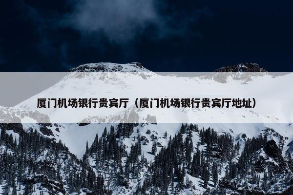 厦门机场银行贵宾厅（厦门机场银行贵宾厅地址）