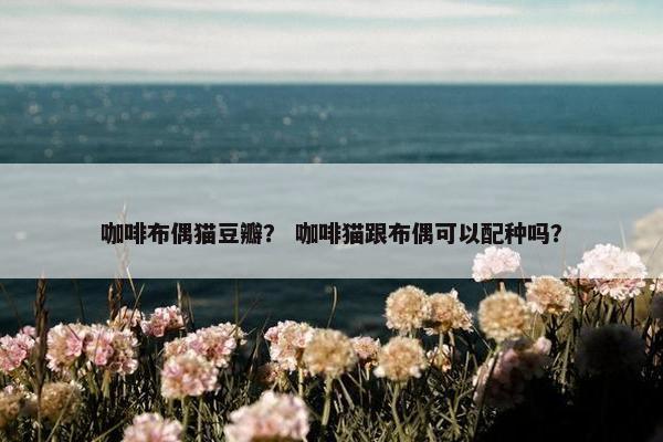 场所