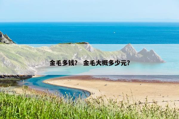 金毛多钱？ 金毛大概多少元？