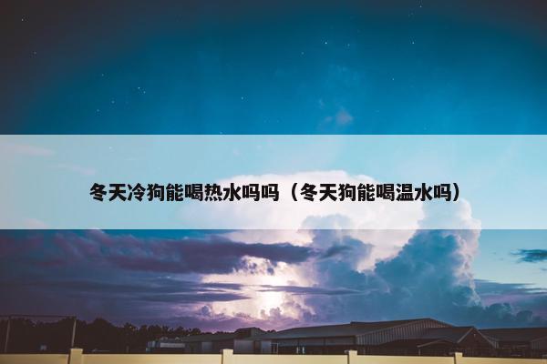 冬天冷狗能喝热水吗吗（冬天狗能喝温水吗）