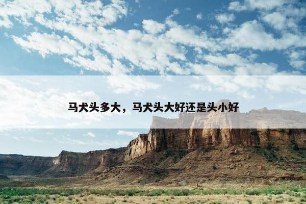 马犬头多大，马犬头大好还是头小好