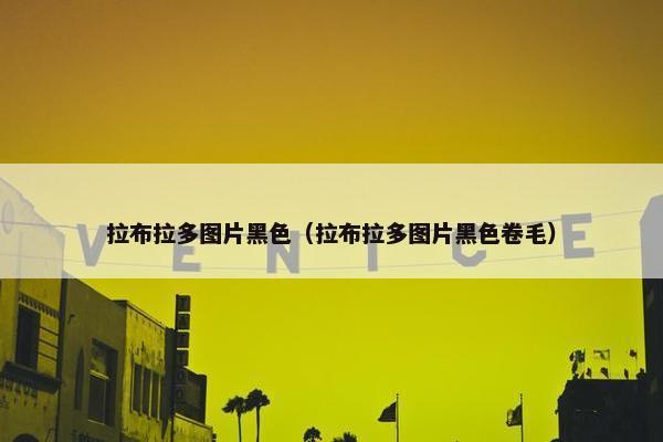 拉布拉多图片黑色（拉布拉多图片黑色卷毛）