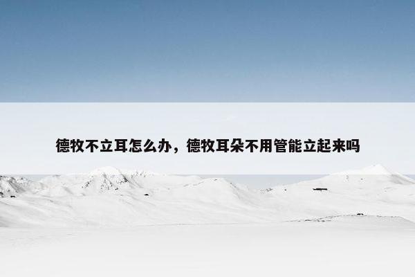 德牧不立耳怎么办，德牧耳朵不用管能立起来吗