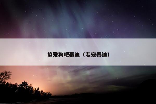 挚爱狗吧泰迪（专宠泰迪）