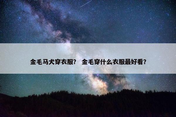 金毛马犬穿衣服？ 金毛穿什么衣服最好看？