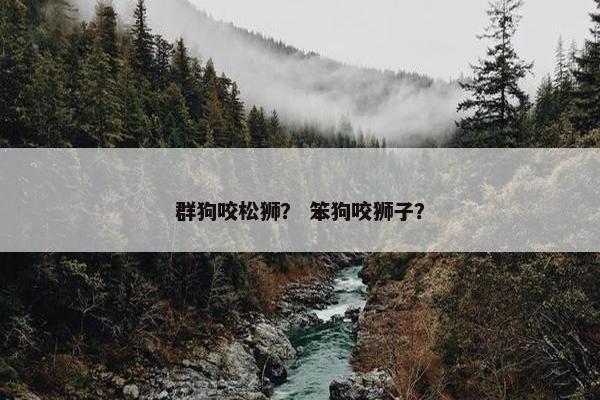 群狗咬松狮？ 笨狗咬狮子？