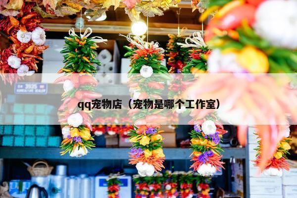 qq宠物店（宠物是哪个工作室）