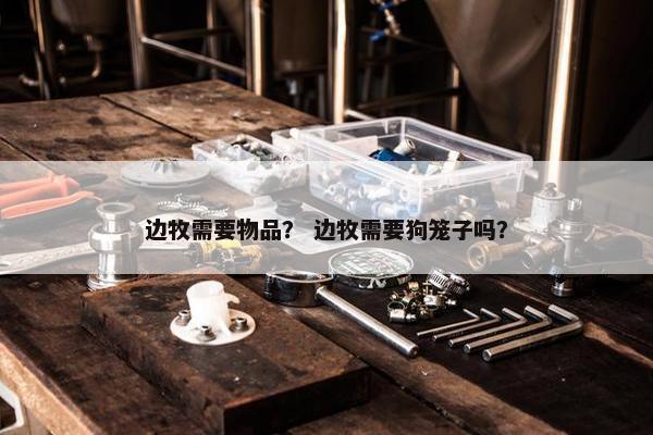 边牧需要物品？ 边牧需要狗笼子吗？